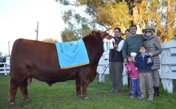 Gran Campeón Macho