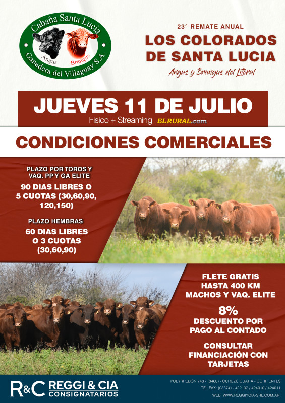 Flyer condiciones comerciales