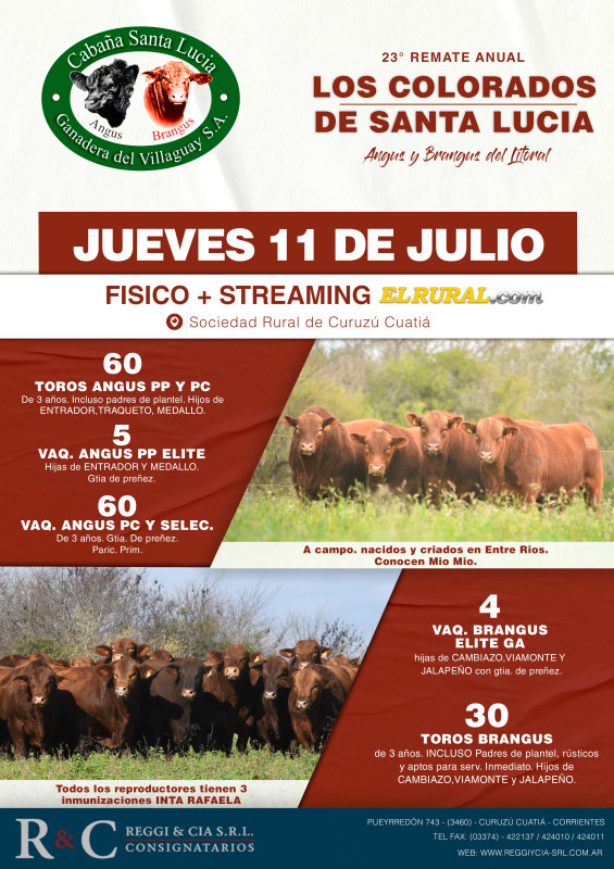 Flyer del remate