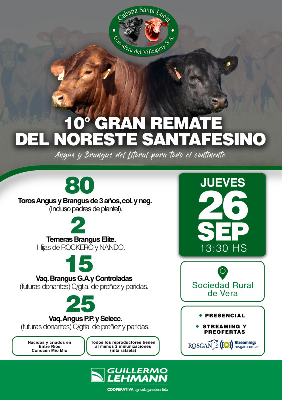 Flyer del remate