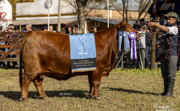 Res. Gran Campeón Hembra