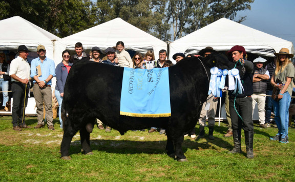 Gran Campeón Macho