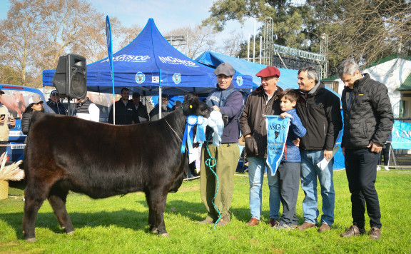 Gran Campeón Ternera