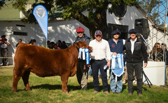 Se conocen los primeros campeones Angus del Circuito Litoral