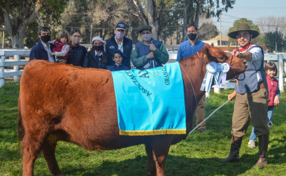 Gran Campeón Hembra