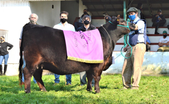 Reservado Gran Campeón Hembra