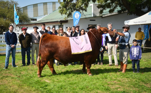 Reservado Gran Campeón Macho.