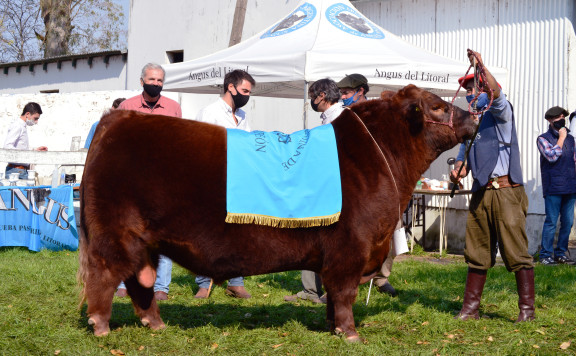 Histórico. Se vendió el 50% de un toro Angus valuado en $5,3 millones