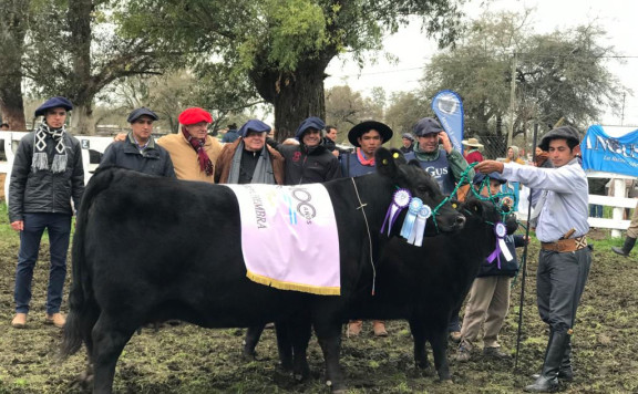 Reservado Gran Campeón Hembra