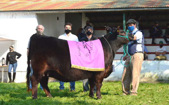 Res. Gran Campeón Hembra